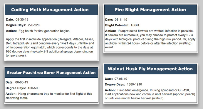 Examples of management actions