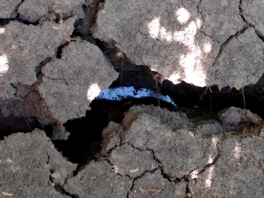 Picture of cracking soil.