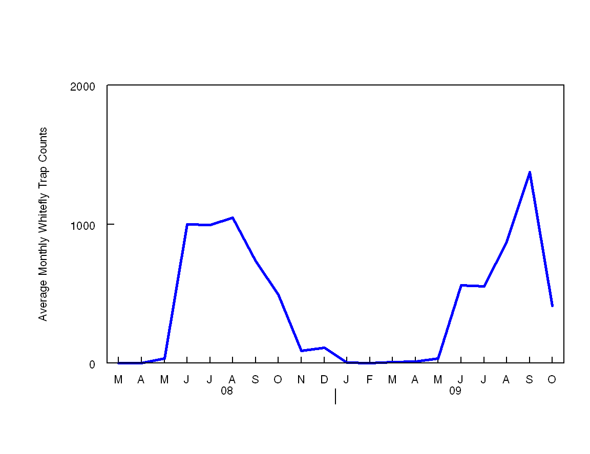 Figure 3: Mean whitefly numbers for 2008 and 2009.