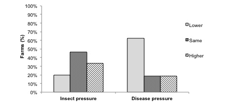 Fig 6.  Comparison of tomato insect and disease pressure in high tunnels and in the open field on Maine farms surveyed, 2011.