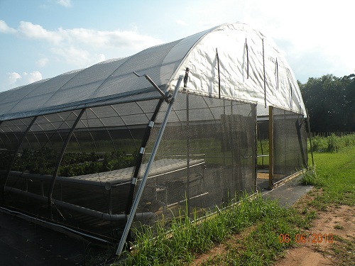 Figure 3. High tunnel with 50% shade cloth on side- and end-walls prior to installation of a door.